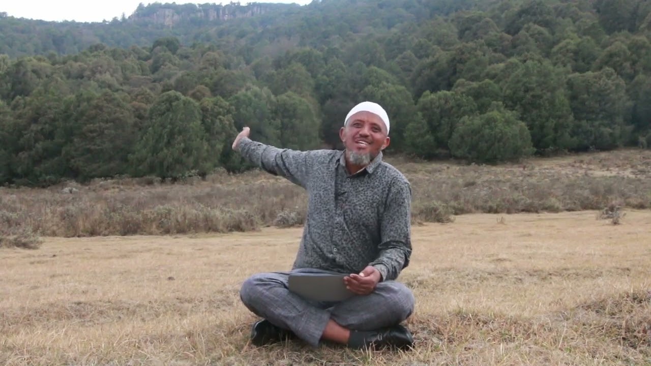 gammadi  hin gaddini