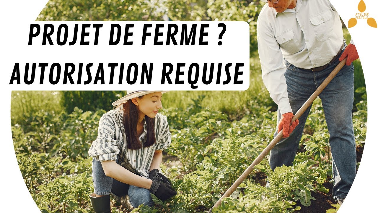 🚜 L'autorisation d'exploiter, méconnue mais essentielle pour mener un projet agricole en France🐄