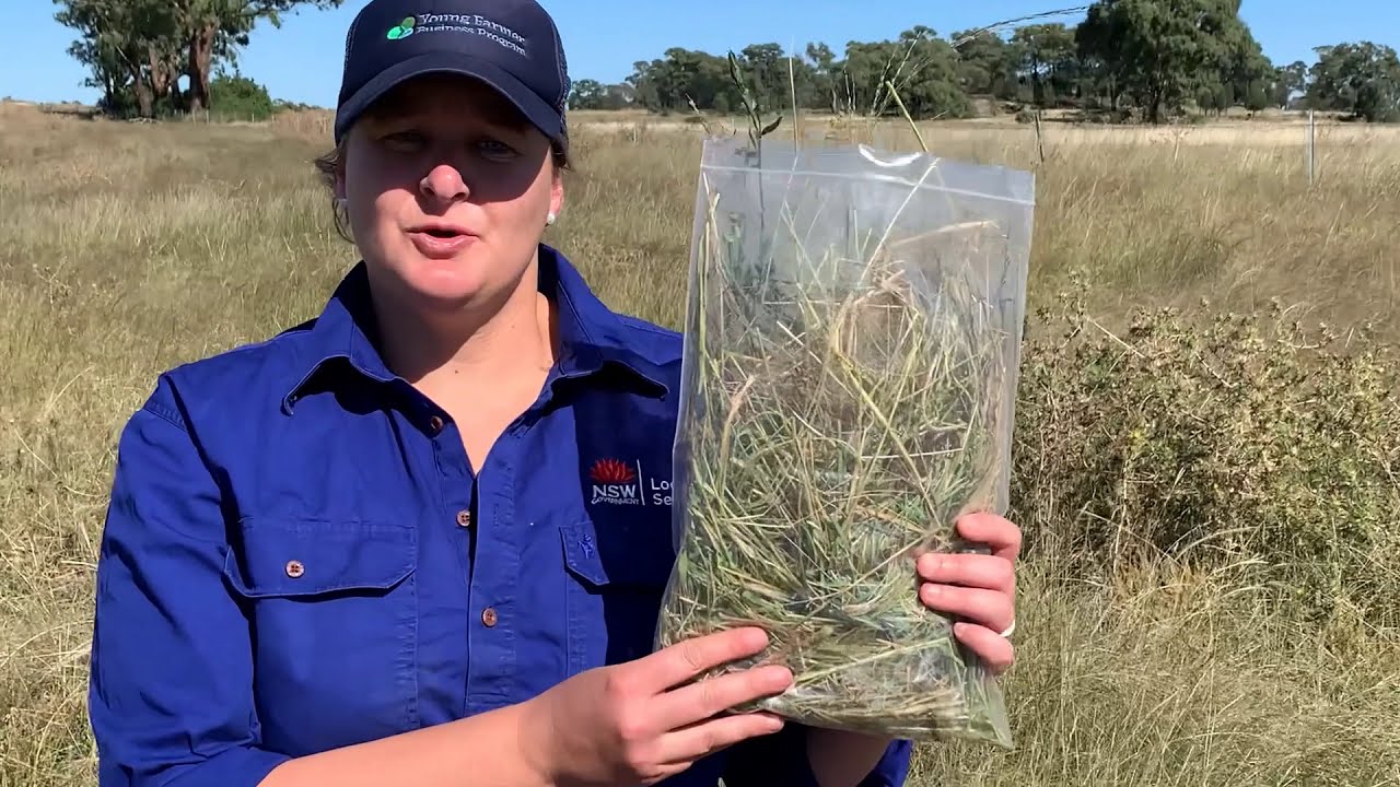Collecting feed samples to test