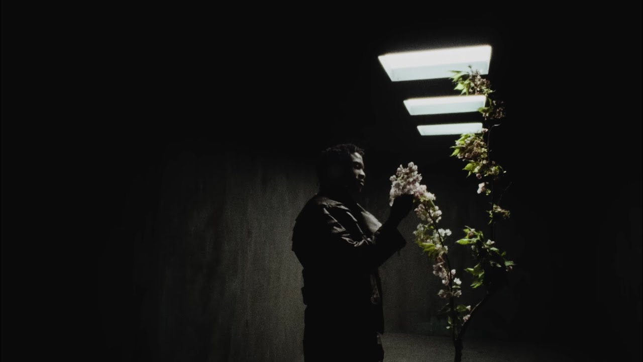 Damso - Schéma (Clip Vidéo)