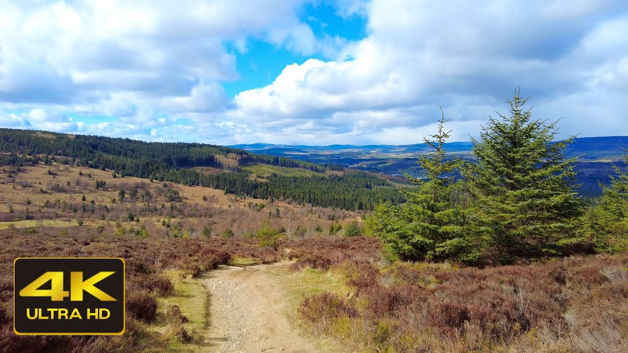 Scolty Hill Walk, Banchory, Scotland Countryside 4K