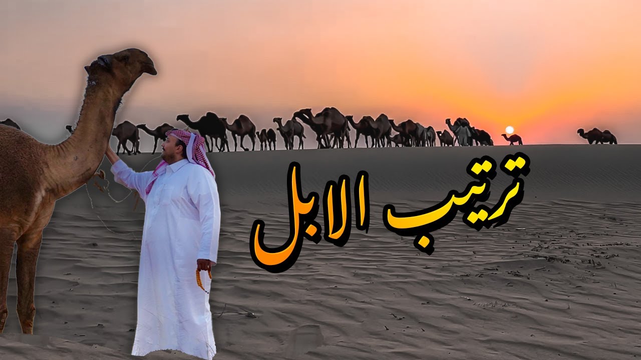 ترتيب ابل  الامير ناصر بن نواف " الملكيات"