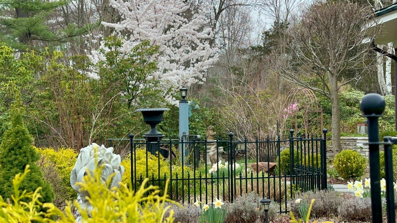 Spring Garden in Mid April (4/13-19/2025)