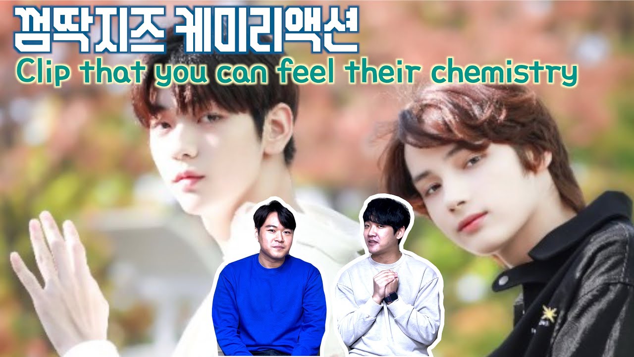 귀염뽀짝 