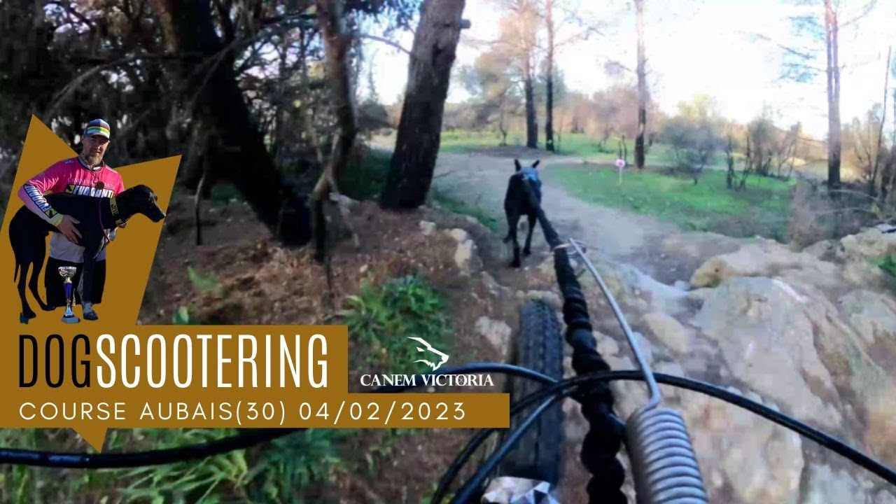 Dogscootering Canicross des garrigues 2023