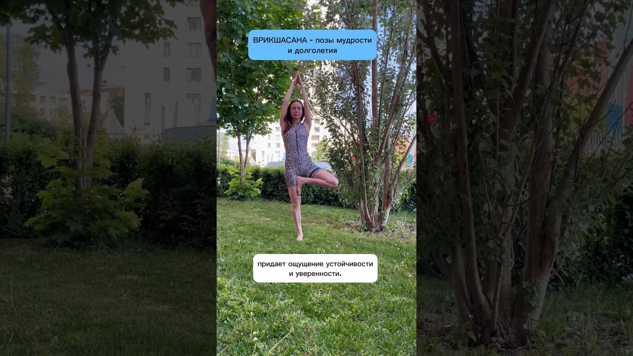 Поза дерева - Врикшасана #духовность #йогадома #осознанность #здоровье