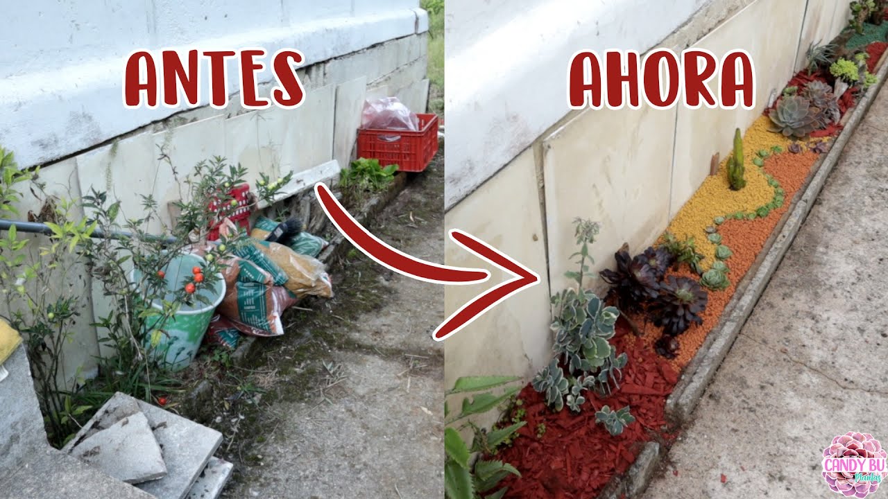 Haciendo un JARDÍN DE SUCULENTAS en el suelo │Candy Bu