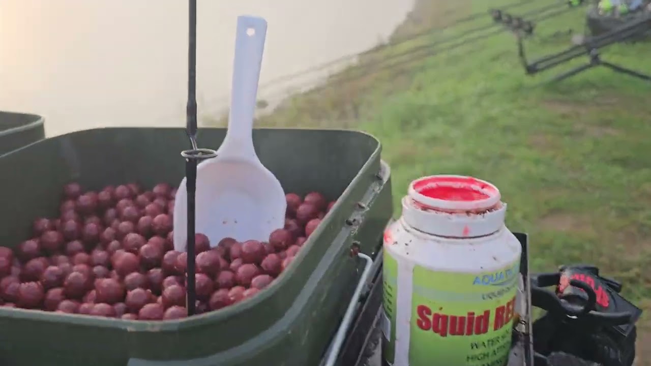 @totalcarpmagazine @DaiwaCarp @MediaBigFish