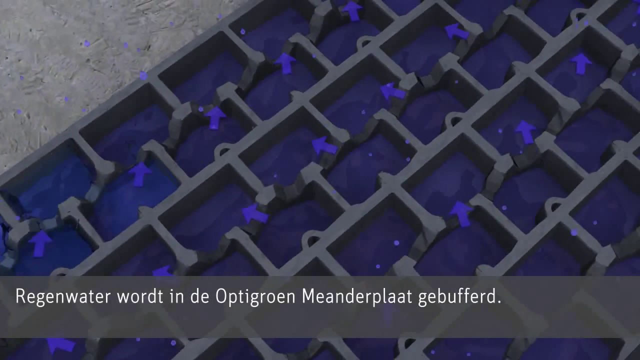 Dakbegroeiing, regenwatermanagement, watervertraging, Optigroen, groendak
