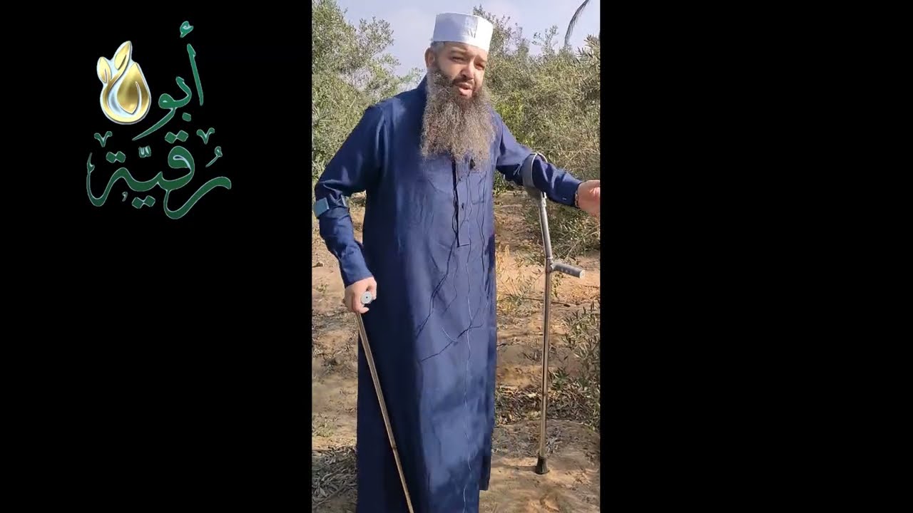 تفاصيل الزيتون في شمال سيناء
