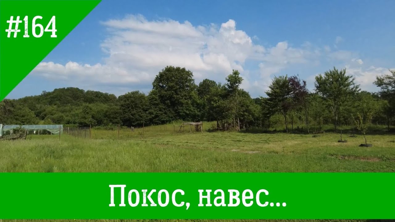 #164 Покос, навес...
