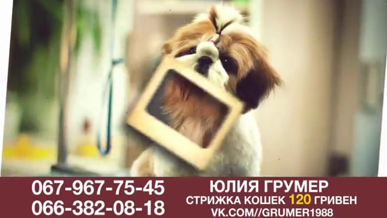 Ролик для Видеоэкранов Grumer