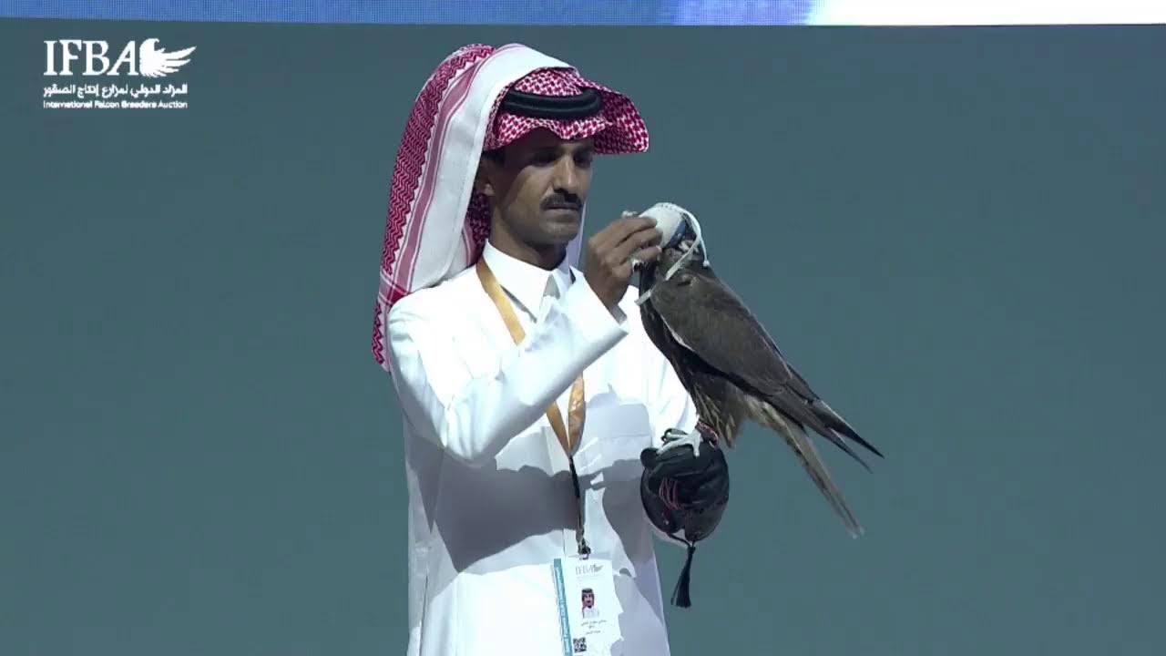 تابعوا معنا البث المباشر للمزاد الدولي لمزارع انتاج الصقور 2023