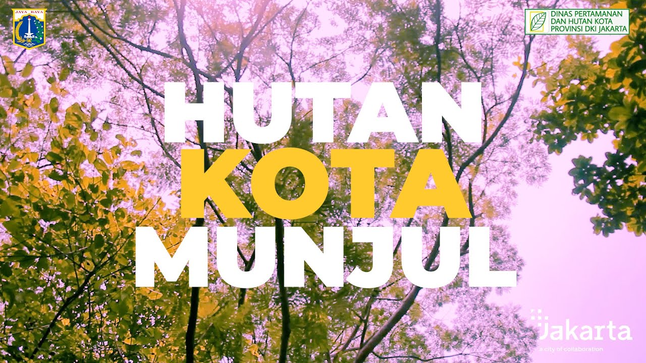 Hutan Kota Munjul, Tempat asik menghabiskan hari mu di Jakarta Timur