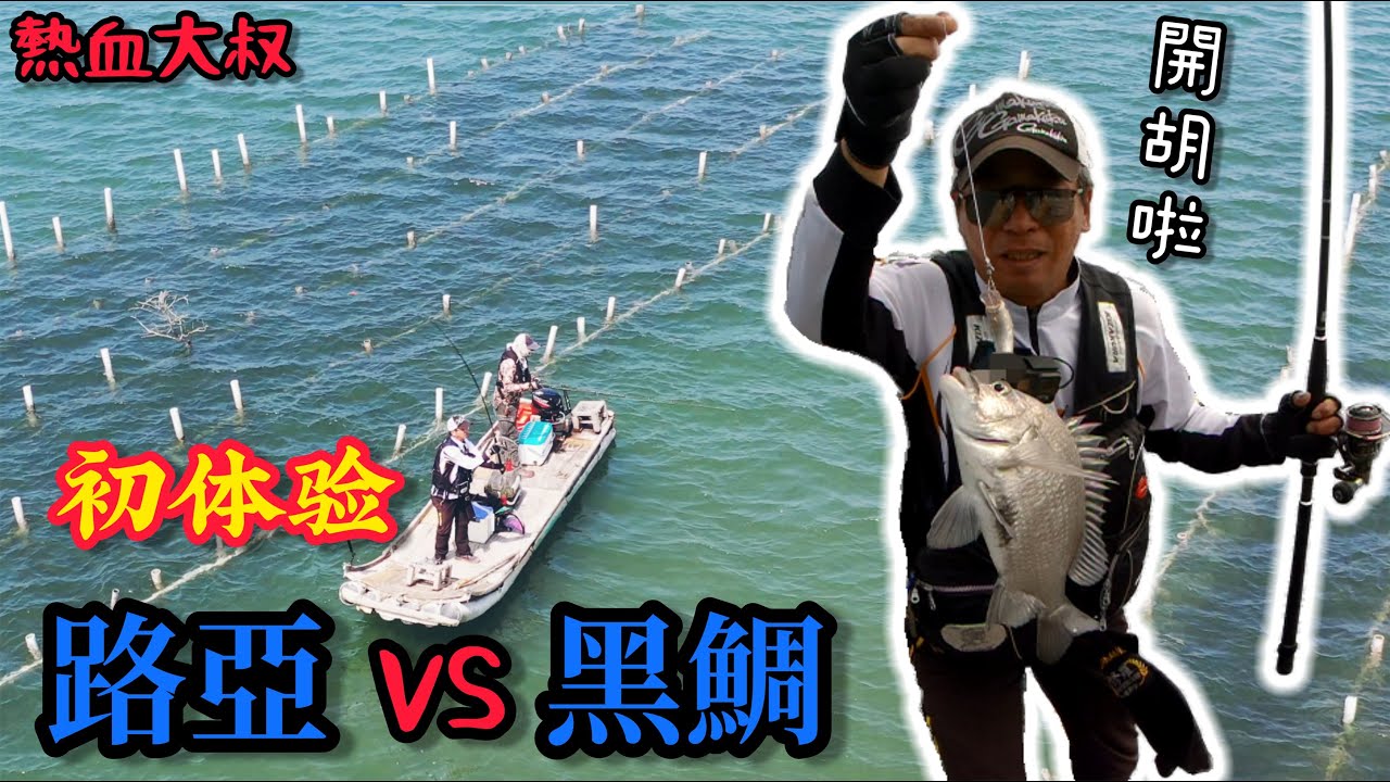 黑鯛追路亞"炸水花"! 顛覆磯釣人對黑鯛的三觀!