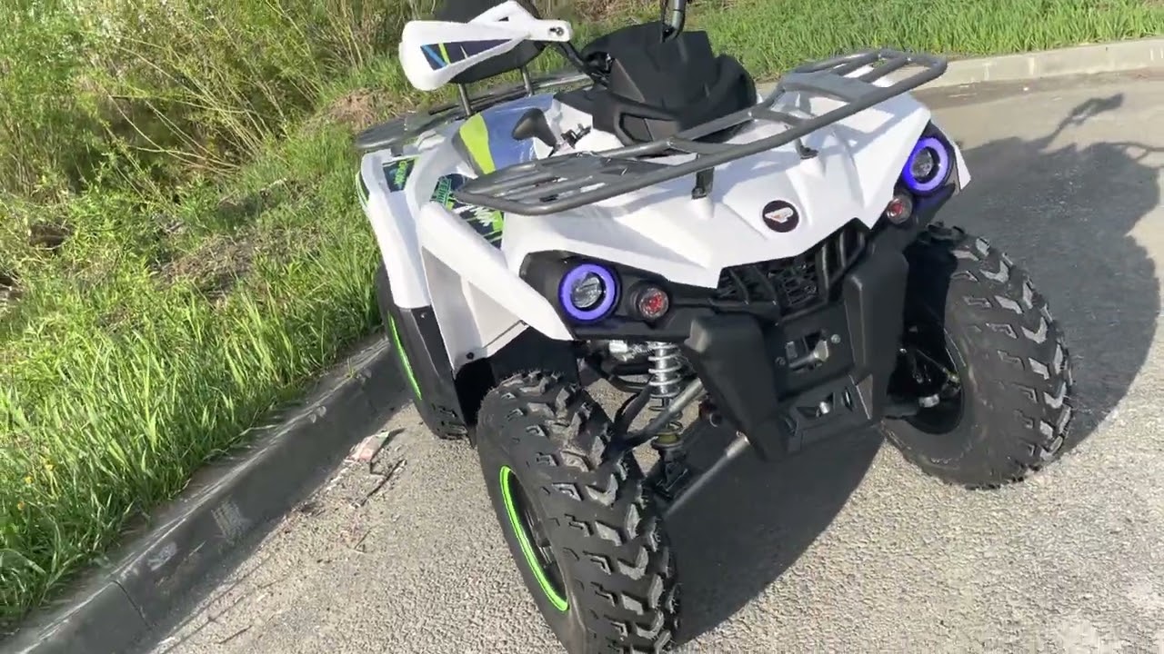 Купил Квадроцикл PROMAX RENEGADE 300 люкс, немного своего мнения (отзыва)