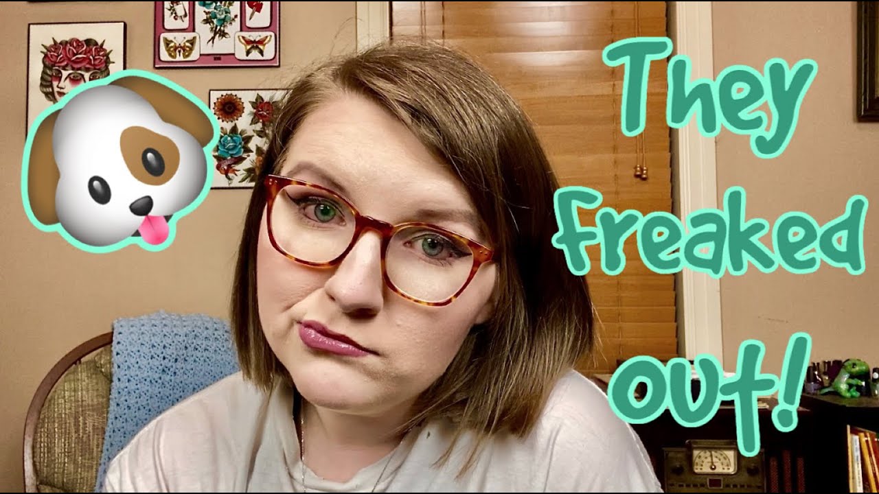 THEY WERE MESSING WITH MY DOGS! | STORYTIME