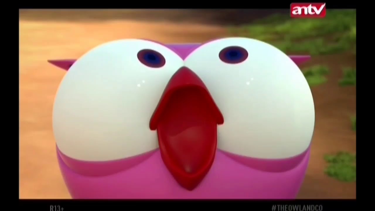 Putri katak dan Owl#13 || Film Anak ANTV