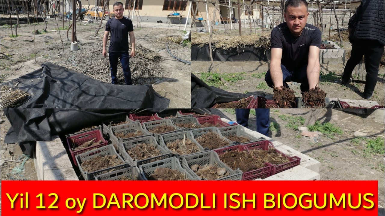 BIOGUMUSni qanday qilib ko'paytish sirlari fosh bo'ldi 📠+998994161313