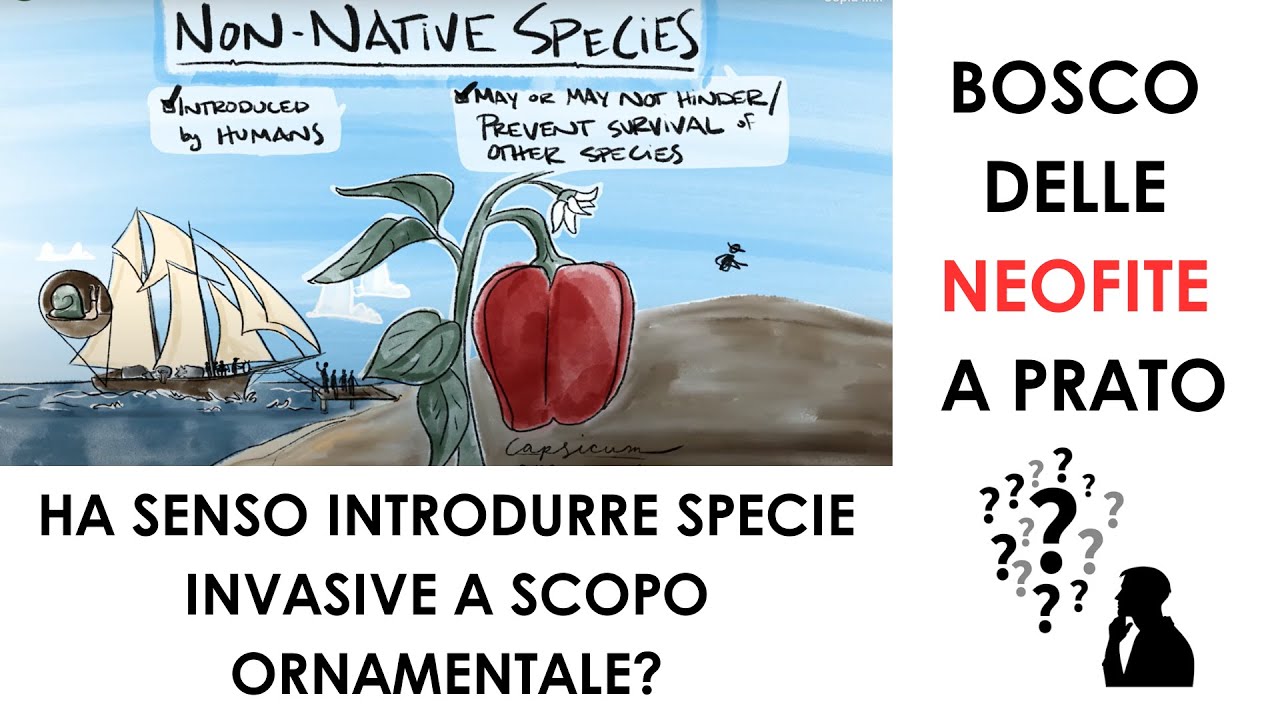 Bosco delle Neofite a Prato - ha senso diffondere specie aliene invasive?