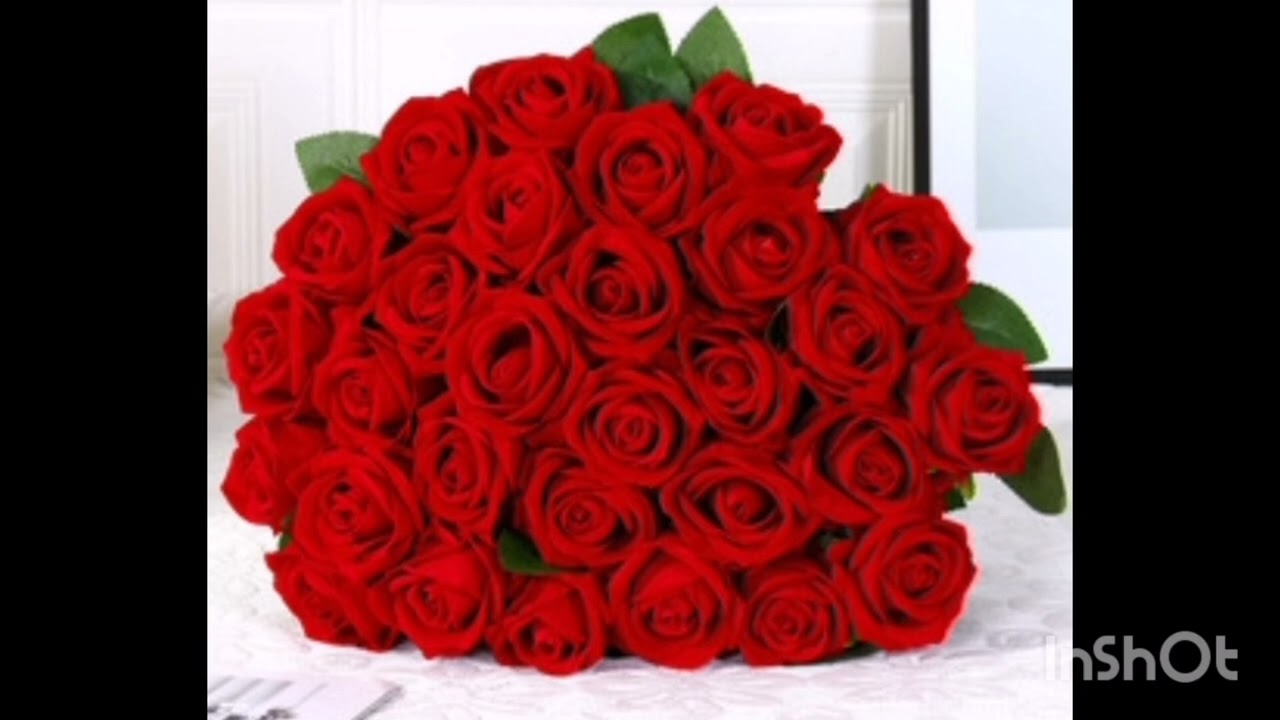 أجمل رسالة حب ❤️من أعماق قلب الحبيب ❤️ليكي عايزك تسمعيها بقلبك ❤️🌹❤️