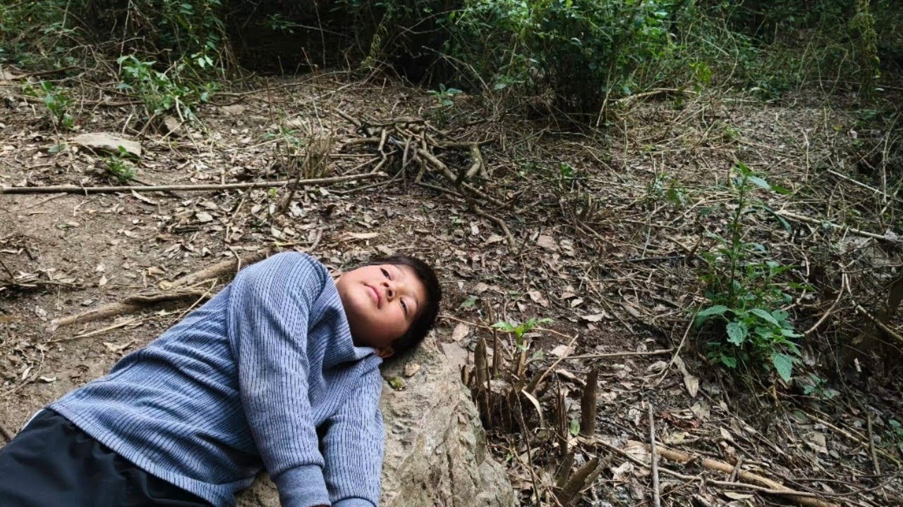 Jungle mein So Gaya 😅