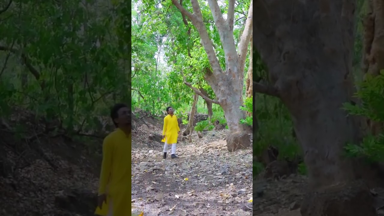 चमकी डोगु//aadiwasi vorada song/ present by vasave music official 