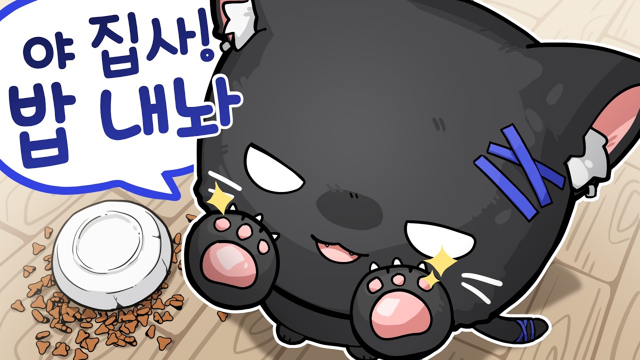 이 고양이 안 보고 지나치면 후회합니다