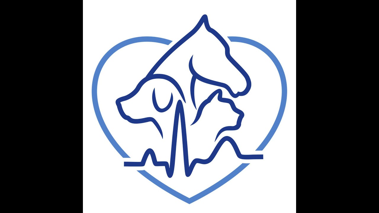 Cardiology Controversies 1 with Mark Rishniw