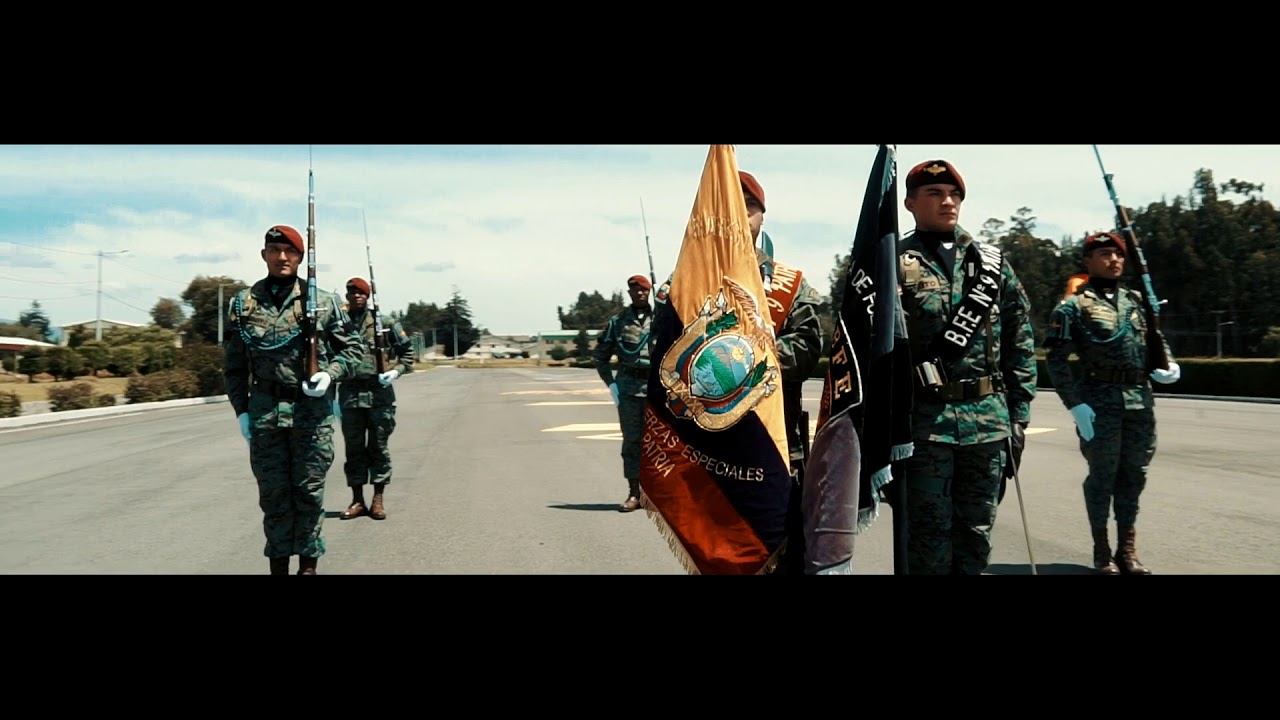 Aditamento - Universidad de los Locos