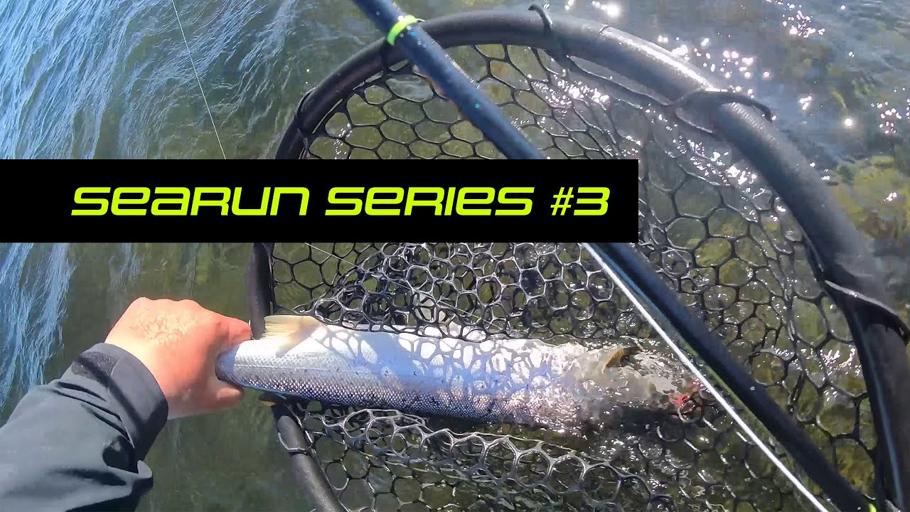 SEARUN Series - Episode 3 - Perfect conditions