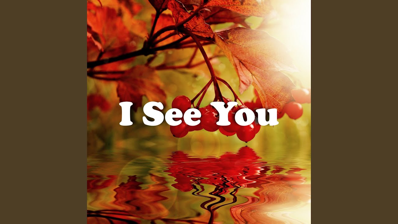 I See You