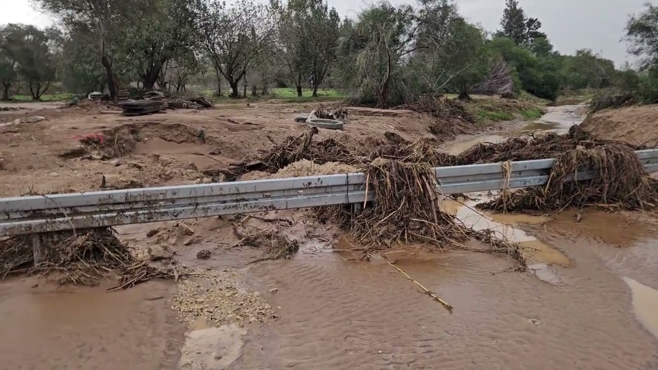 Shikma River Awakens: Rainstorm Journey 12.12.2025 מסע רטוב באגן נחל שקמה