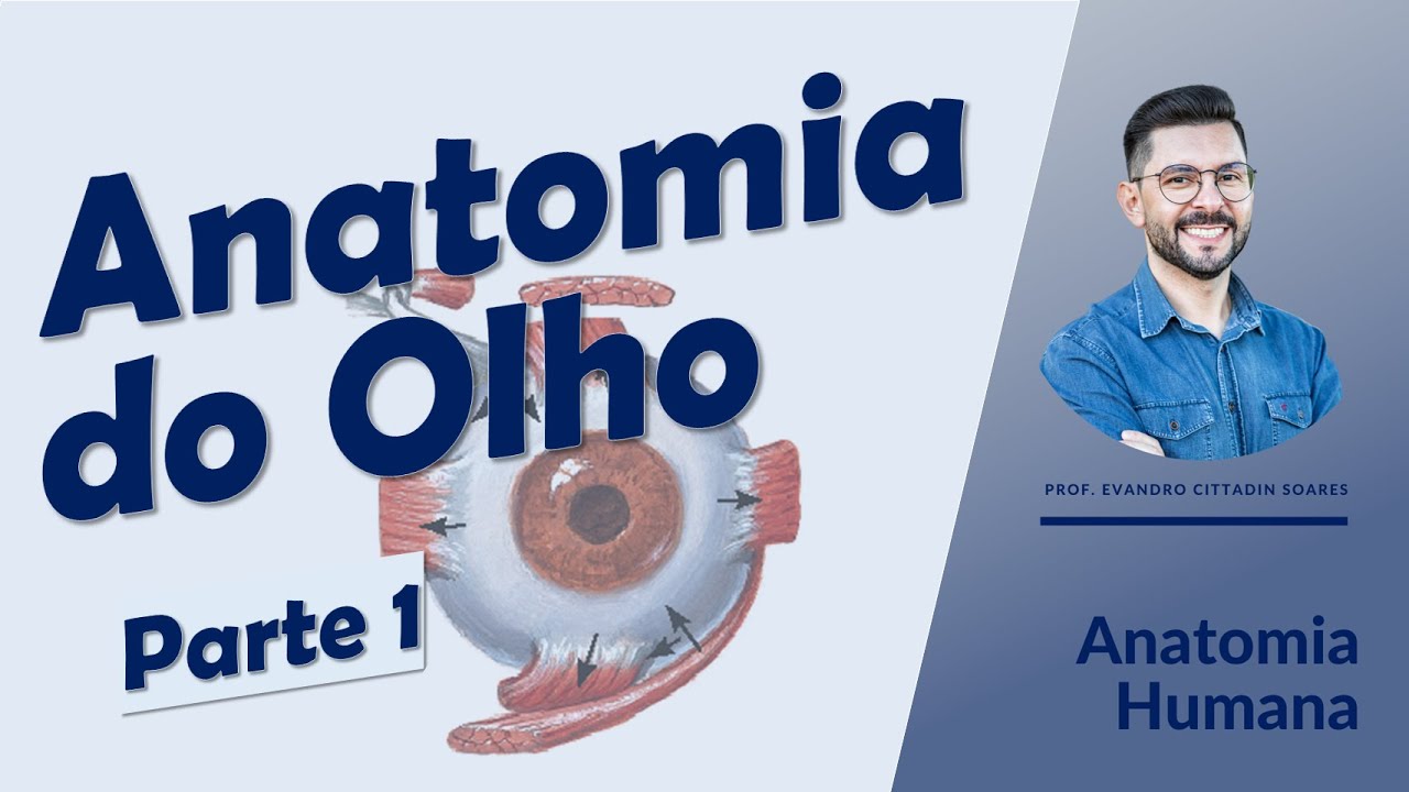 Anatomia do olho - Parte 1 - Anatomia Humana - Oftalmologia