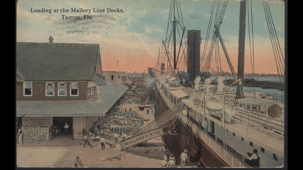 Tampa's Longshoremen