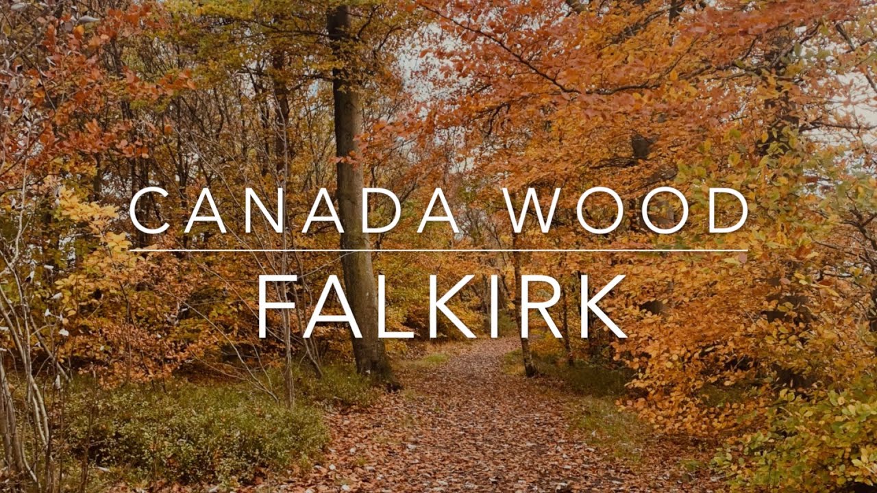 Canada Wood - Battle of Falkirk Trail