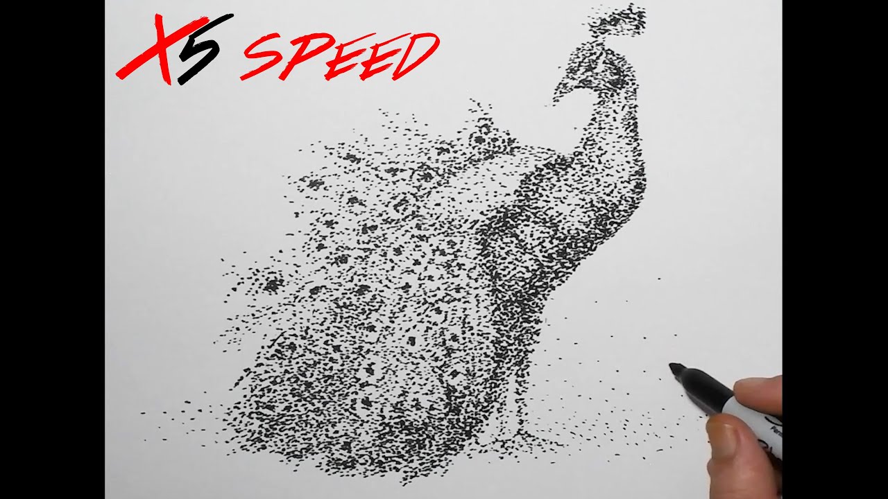 Awesome Stippling Technique with a Sharpie | How to Draw a Peacock