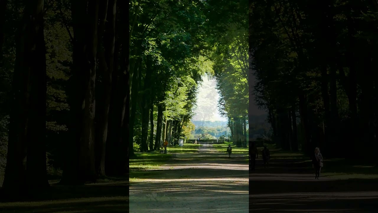 Der Schlosspark Augustusburg in Brühl