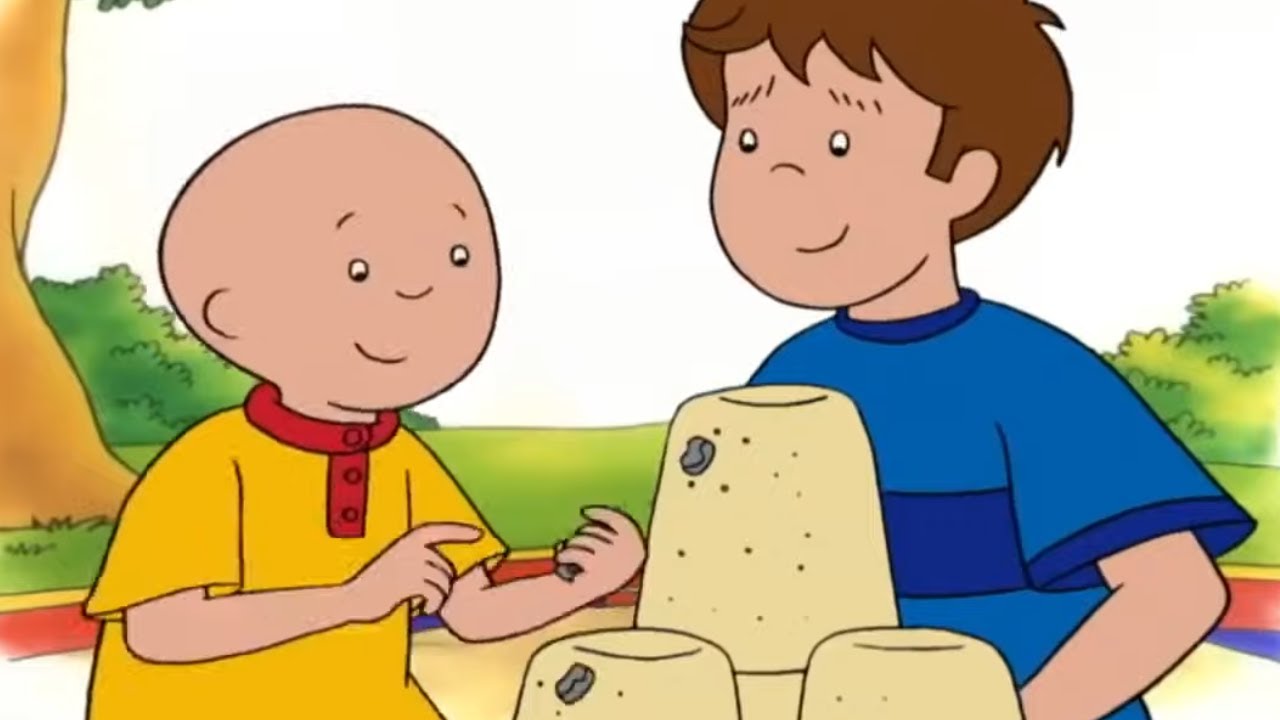 Caillou Makes A Sandcastle | Caillou Cartoon