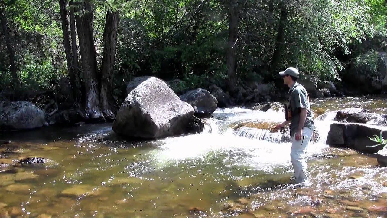 How to Fly Fish Colorado's Freestone Streams