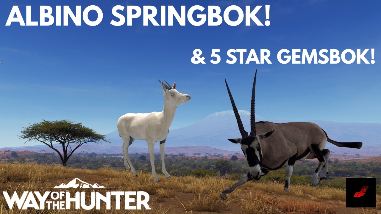 Albino Springbok & 5 Star Gemsbok! | Way of the Hunter