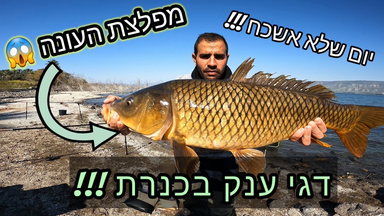 מפלצת העונה הגיע !!! 😱 יום מטורף של מפלצות ענק בכנרת! יום שלא ישכח! סגירת חשבון !