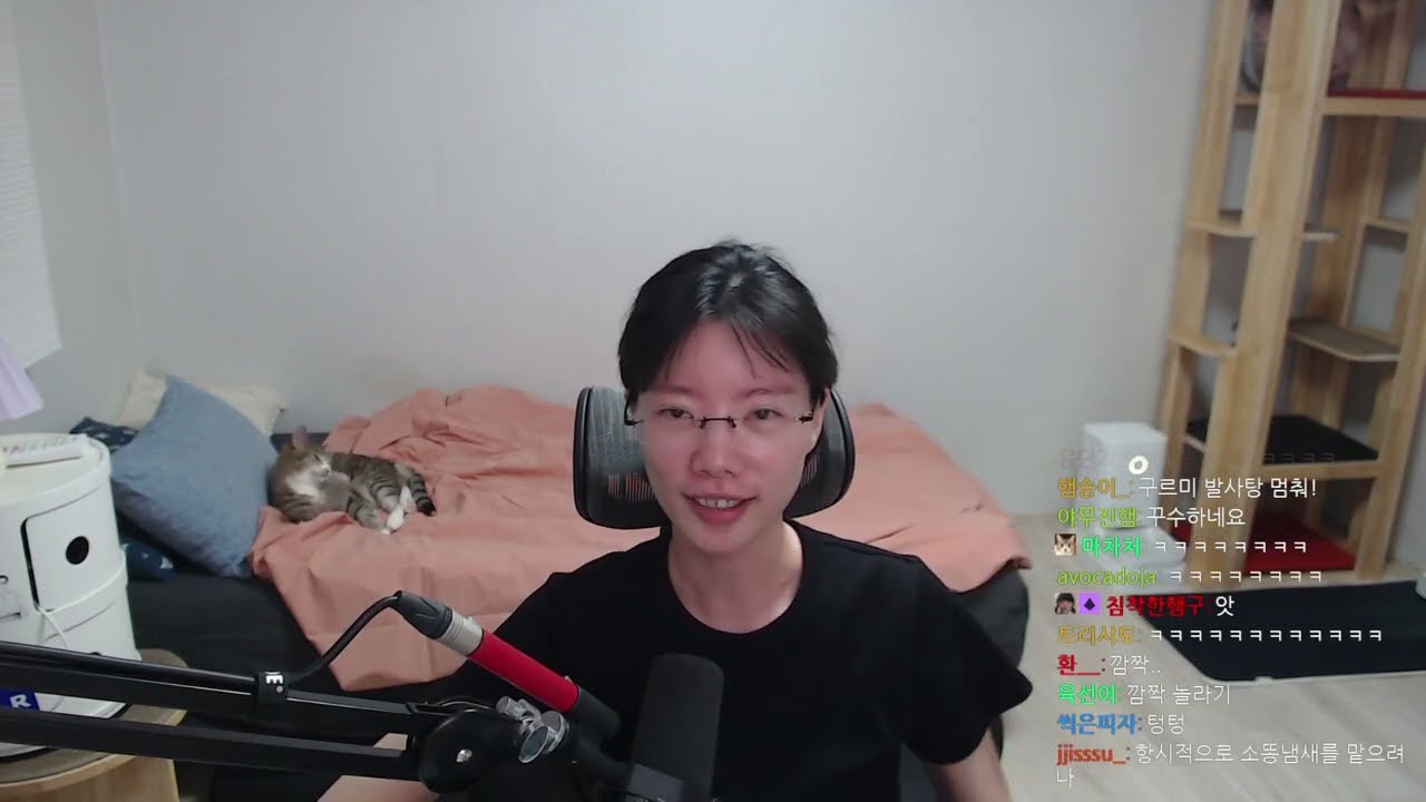 이사준비썰,햄카페구경,마크잠깐,왕눈잠깐 230802
