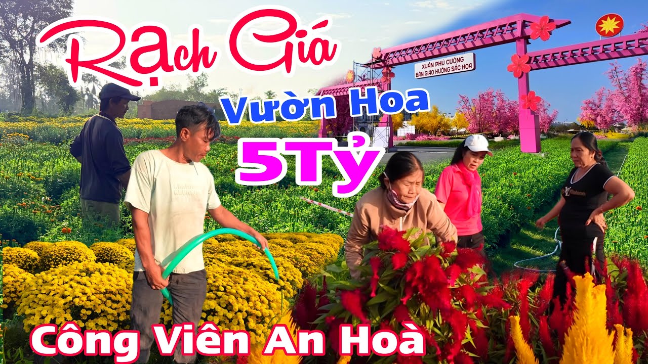 Rạch Giá - Công Viên An Hoà Có Vườn Hoa 5TỶ, Bán Sĩ Và Lẽ Giao Hàng Tận Nơi