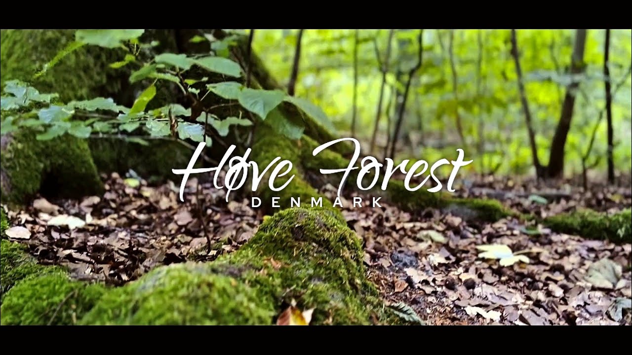 Høve Forest - Odsherred, Denmark ᴴᴰ ● Høve Skov - Asnæs, Danmark⎮SUPERGENKI in Denmark
