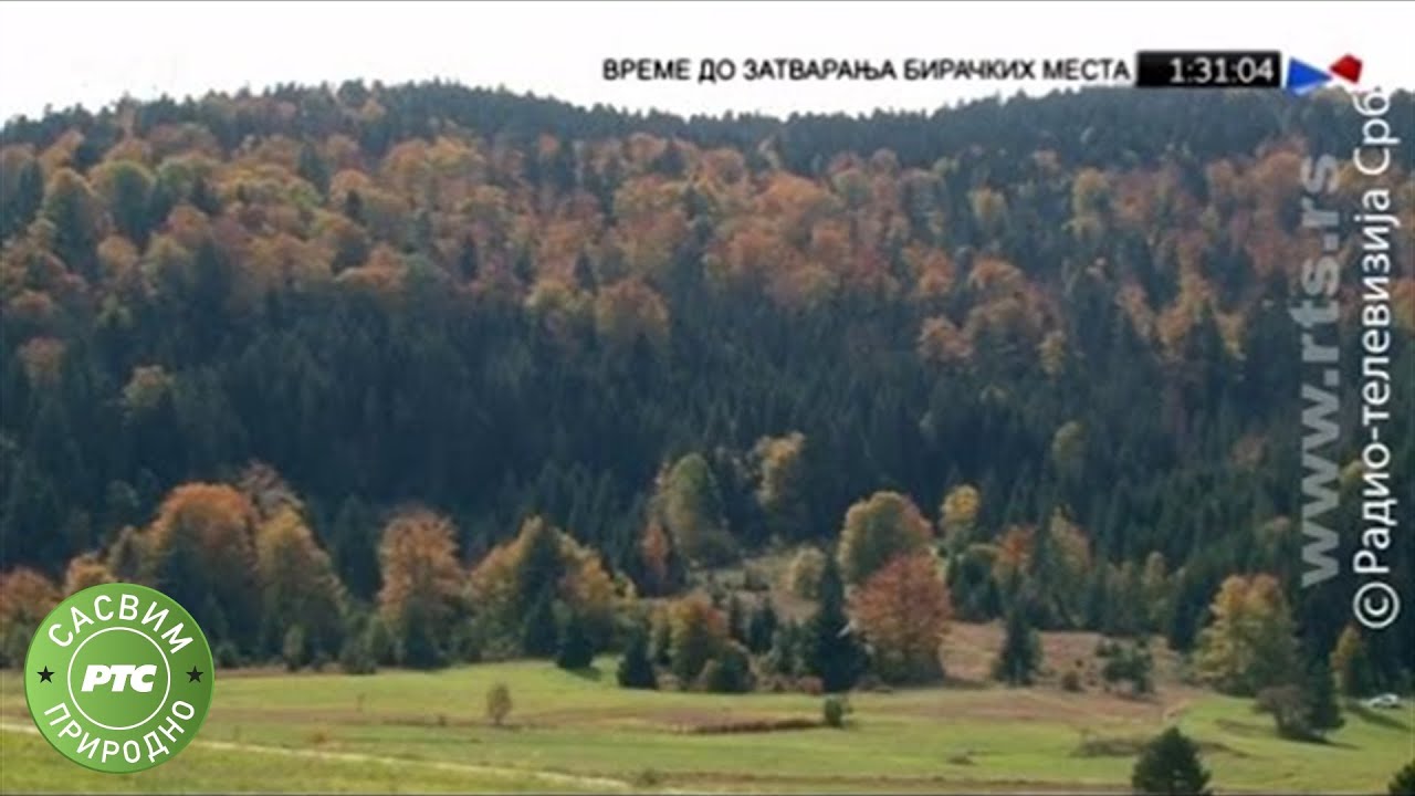 Sasvim prirodno: Umetnici i prirodnjaci (Jovan Memedović)