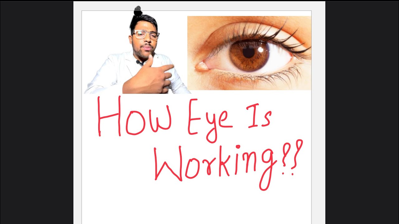 Eye काम कैसे कर्ता है || How eye working??
