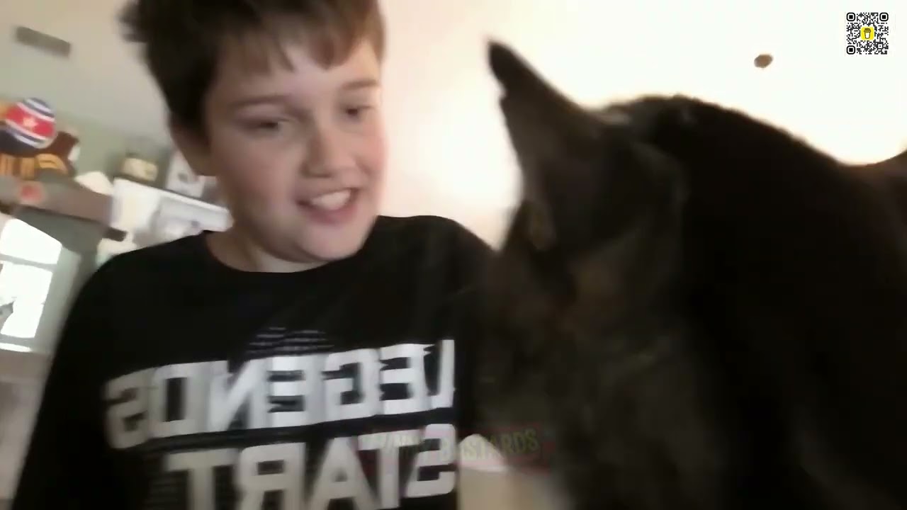 🐈🚨 PETS GONE WILD: The Most Notorious Animal Fails Caught On Tape! 🖕🐕