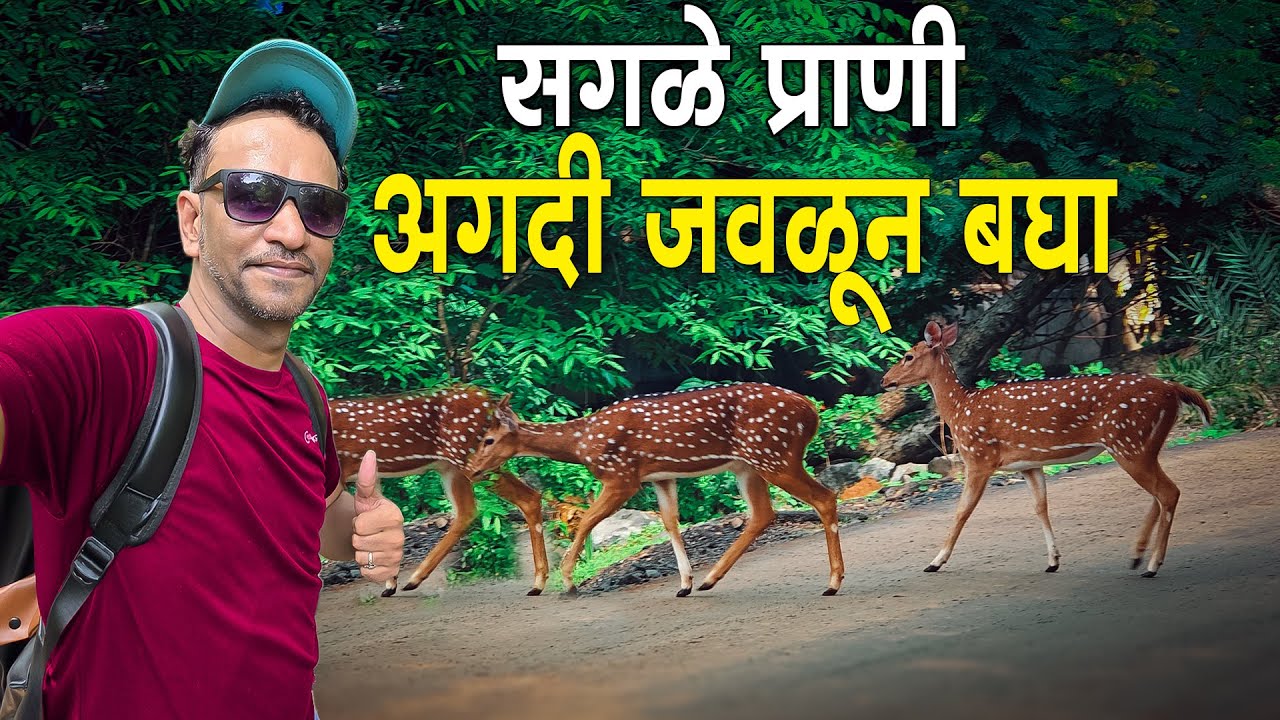 सगळे प्राणी अगदी जवळून बघा | National Park Borivali | Wild Life | Mumbai