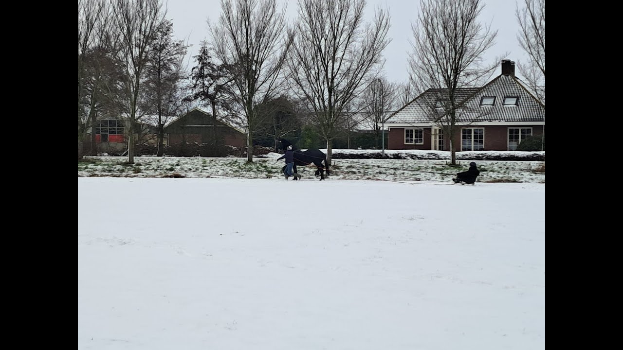 Coby in de sneeuw januari 2026
